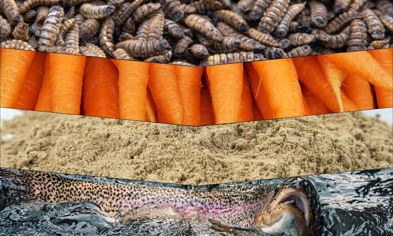 Transforming supply chains